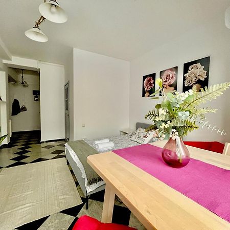 Victoriei Spacious Studio Bucureşti Ngoại thất bức ảnh