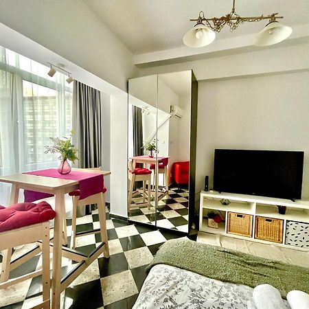 Victoriei Spacious Studio Bucureşti Ngoại thất bức ảnh