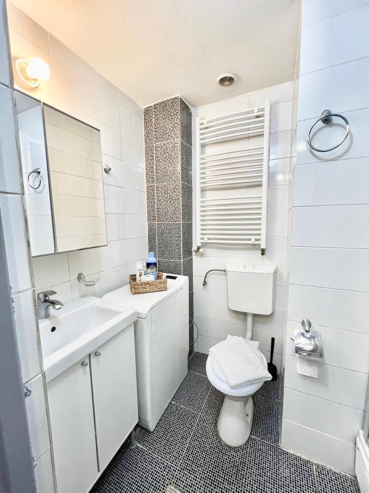 Victoriei Spacious Studio Bucureşti Ngoại thất bức ảnh