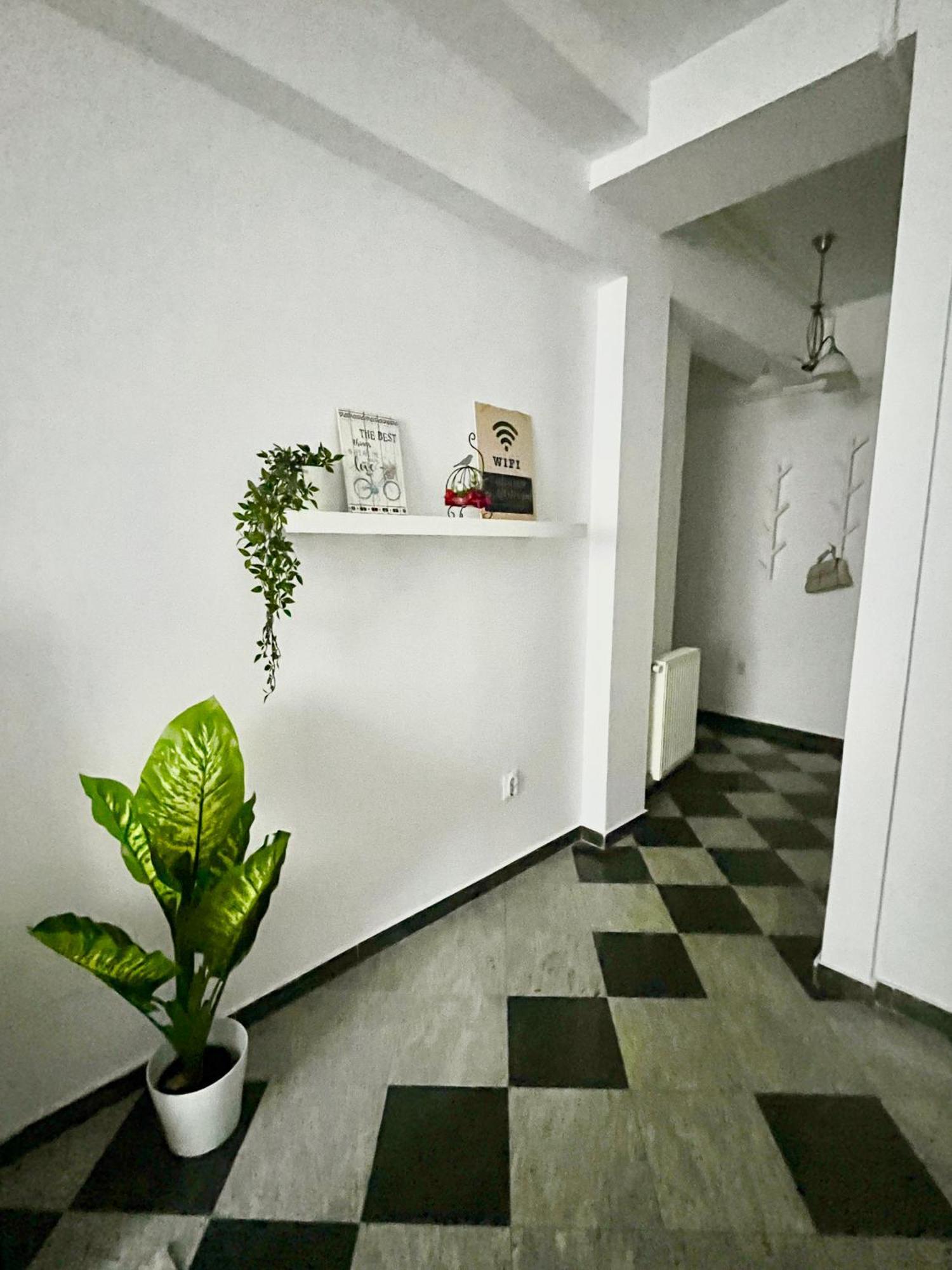Victoriei Spacious Studio Bucureşti Ngoại thất bức ảnh