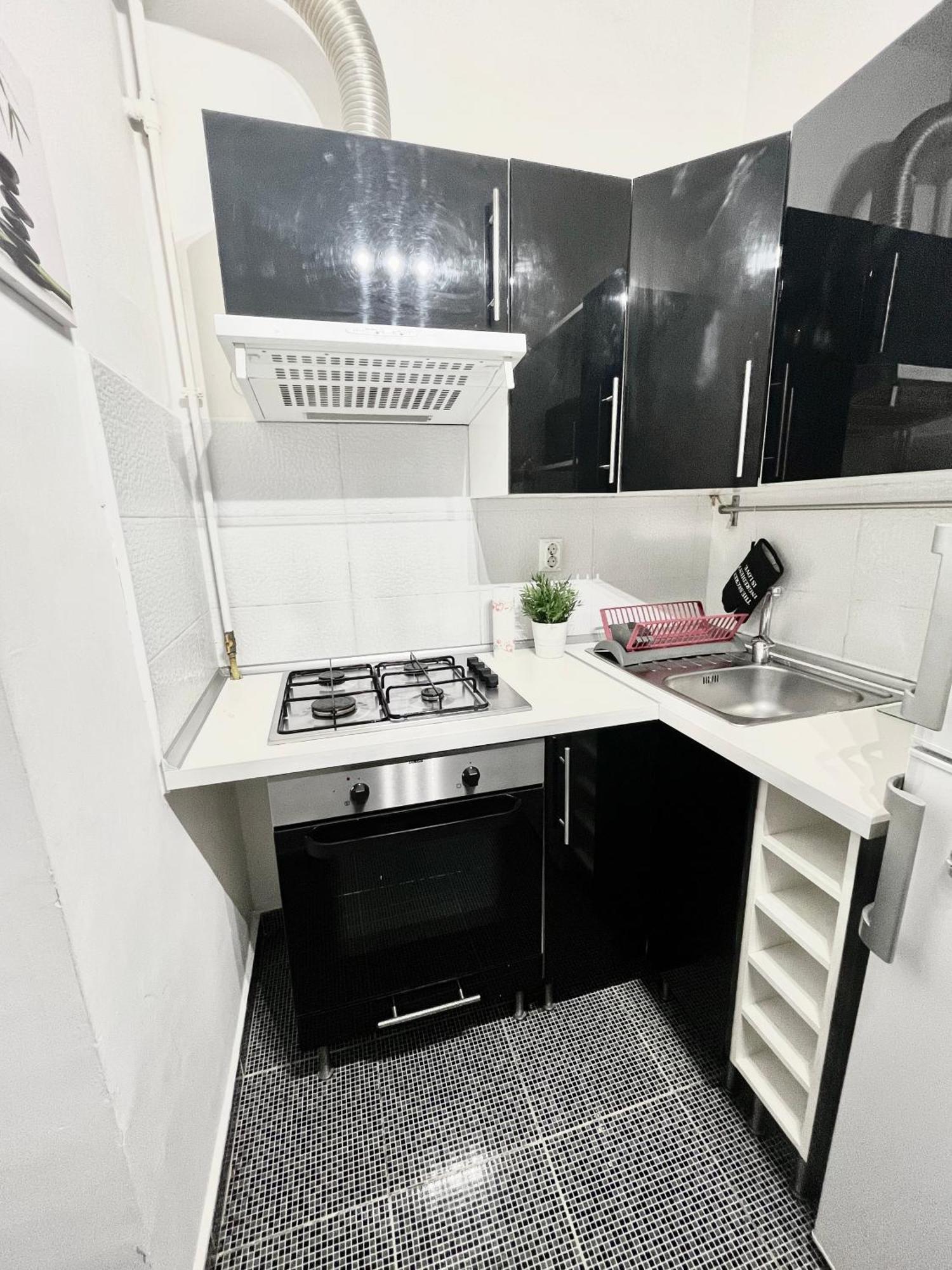 Victoriei Spacious Studio Bucureşti Ngoại thất bức ảnh