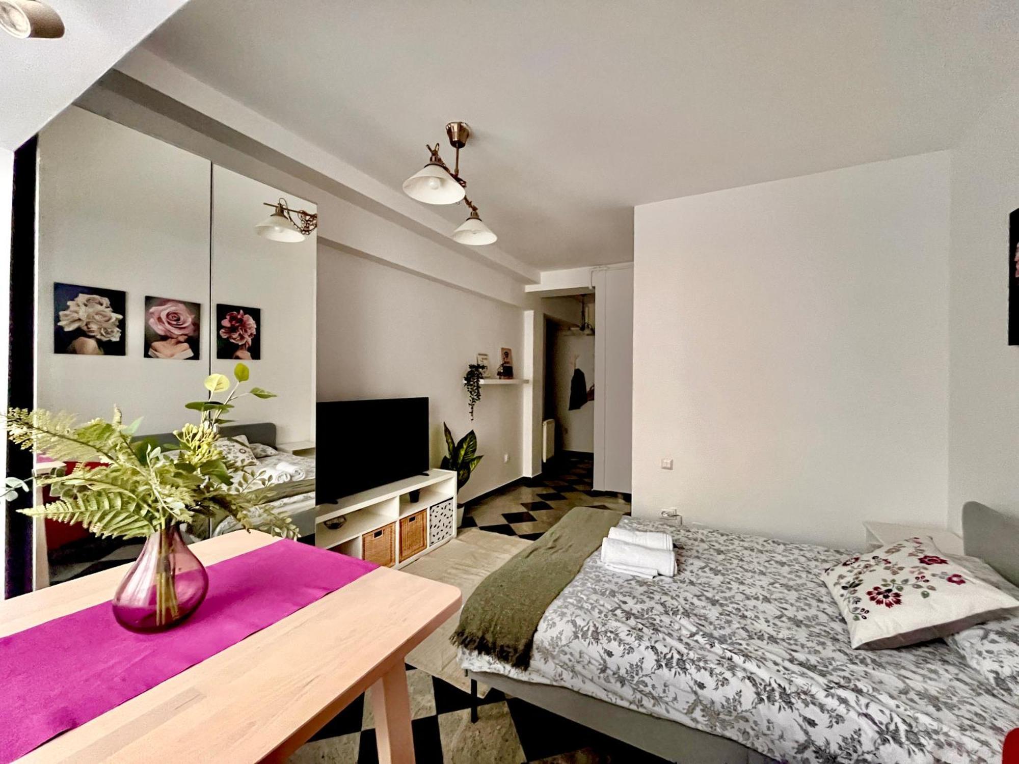 Victoriei Spacious Studio Bucureşti Ngoại thất bức ảnh